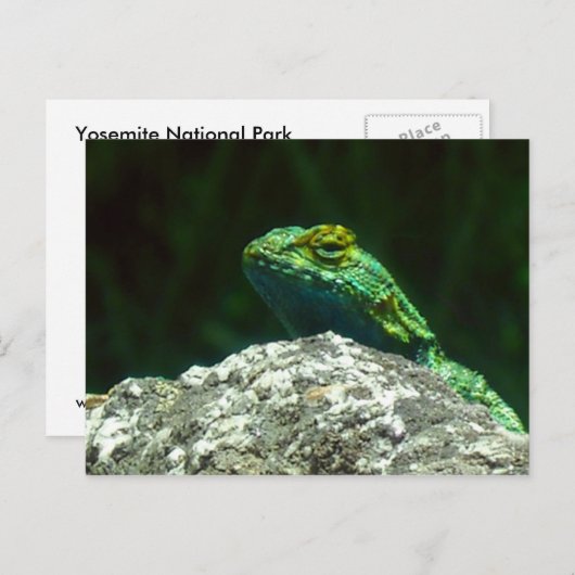 リズ ポストカード (正面/裏面)