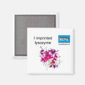 リゾチーム磁石を刷り込んだ マグネット (正面/裏面)