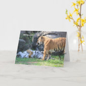 リタイアおもしろいメントカード、スリーピングタイガー カード (黄色い花)