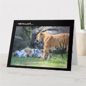 リタイアおもしろいメントカード、スリーピングタイガー カード (正面)