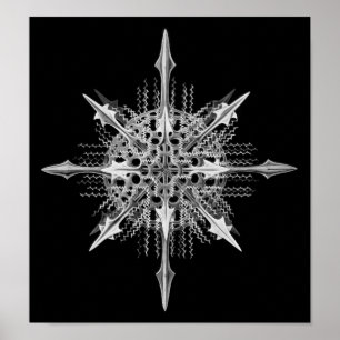 リチャナスピミランダエルンストヘッケルファインアート ポスター