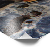 リチャードソンの地面リス フォトプリント            (角)