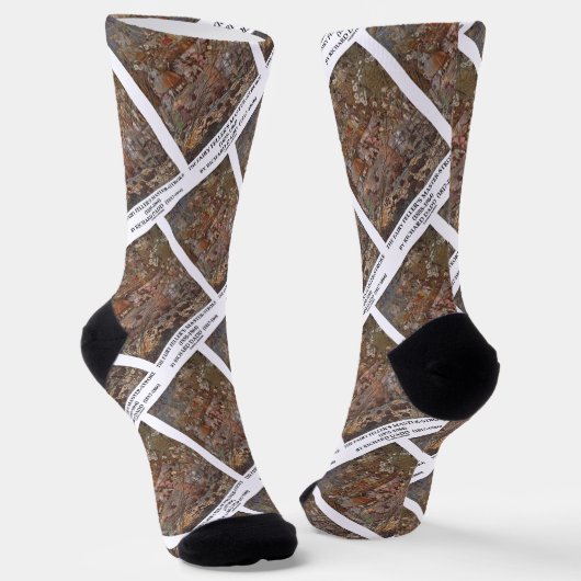 リチャード・ダッドによる妖精フェラーのマスターストローク ソックス (傾斜あり)