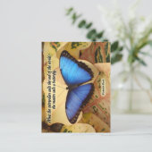 リチャード・バッハ・ザ・キャタピラ ポストカード (スタンド正面)