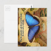 リチャード・バッハ・ザ・キャタピラ ポストカード (正面/裏面)