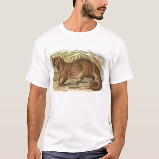 リチャードLydekker -共通のジャコウネコ Tシャツ (正面)