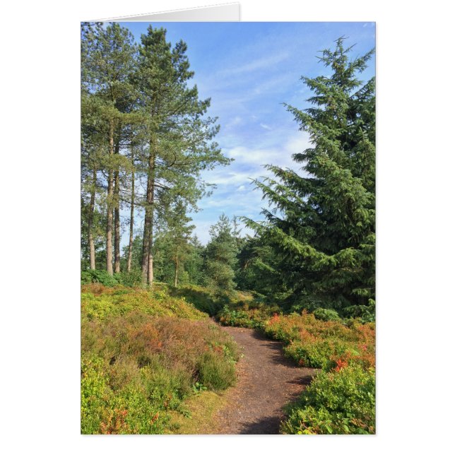 リッキー・ヒルズ (正面)