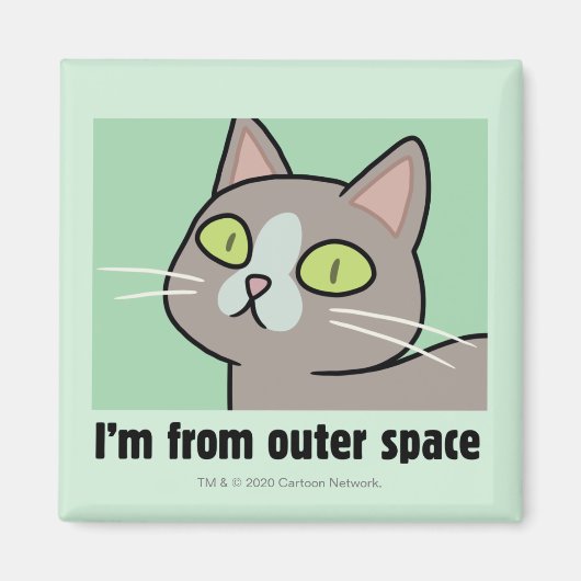 リックとモルティ™ |宇宙空間から マグネット (正面)