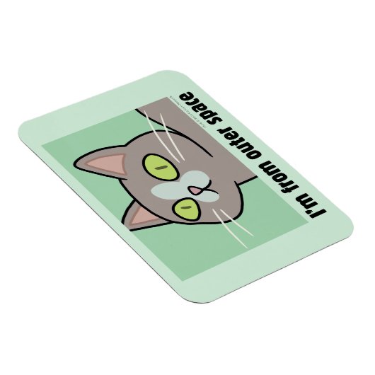 リックとモルティ™ |宇宙空間から マグネット (右側)