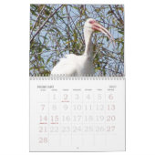 リックの野生の鳥のカレンダー2007年 カレンダー (2月 2027)