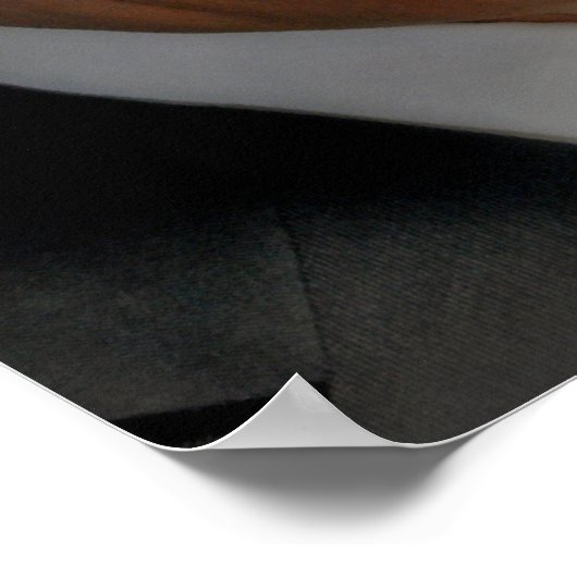 リック・ペリー ポスター (角)