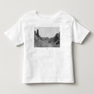 リッジの幻影の写真の馬が引くコーチ トドラーTシャツ