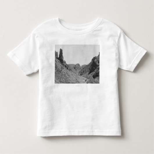 リッジの幻影の写真の馬が引くコーチ トドラーTシャツ (正面)