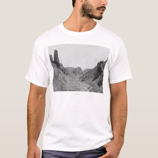 リッジの幻影の写真の馬が引くコーチ Tシャツ (正面)