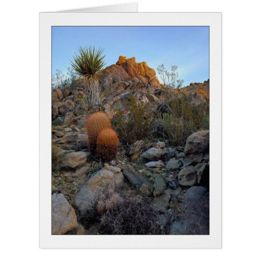 「リッジルートカラー」 (正面)