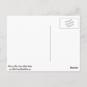 リッソのイルカのはがき ポストカード (裏面)