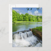 リッター春 ポストカード (正面/裏面)