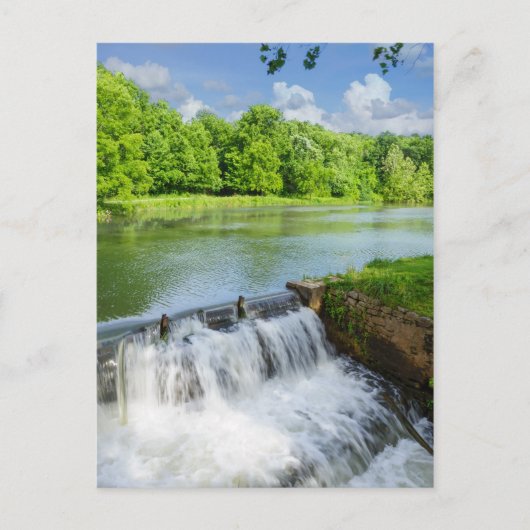 リッター春 ポストカード (正面)