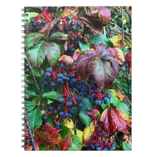 リッチカラーノートブック ノートブック