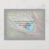 リッチピーコックフェザーとグリーンモスRSVP返信 インビテーションポストカード (裏面)