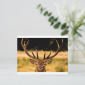 リッチモンドパーク ポストカード (スタンド正面)