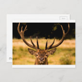 リッチモンドパーク ポストカード (正面/裏面)