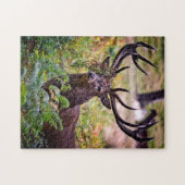 リッチモンド公園のバック – 11x14 - 252個 ジグソーパズル (横)