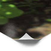 リッチレッドブーゲンビリア ポスター (コーナー)