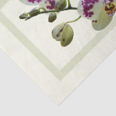 リッチ淡い色のイエローラン紙ティッシュギフト 薄葉紙 (詳細)