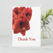 リッチ自然ルビーレッドAmaryllis合成写真 サンキューカード (スタンド正面)