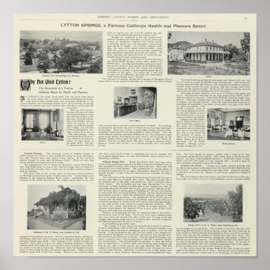 リットン春（カリフォルニア） ポスター (正面)