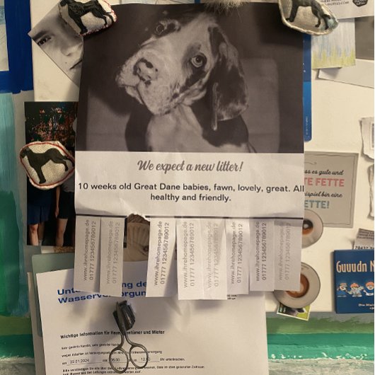 リップオフフライヤーパピー赤い緑を販売 チラシ