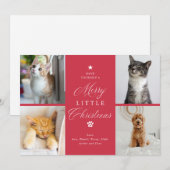 リッメリートクリスマスペット4フォトフラット シーズンカード (正面/裏面)