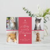 リッメリートクリスマスペット4フォトフラット シーズンカード (スタンド正面)