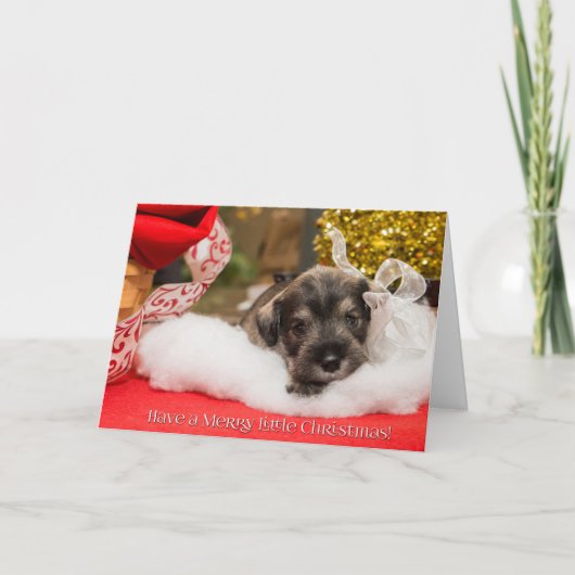 リッメリートルクリスマス シーズンカード (正面)