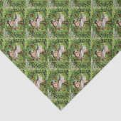 リッ親愛トル・シャムロック 薄葉紙 (詳細)