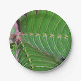リッ魅力的トルグリーンリーフ紙プレート ペーパープレート