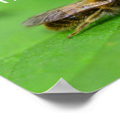 リテットダイビエネン ポスター (角)