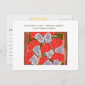 リトアニアのクリスマスの伝統 シーズンポストカード (正面/裏面)