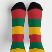 リトアニアの旗 ソックス (上部)