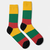 リトアニアの旗 ソックス (右)