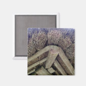 リトアニアのThatch Roof, Rumsiskes Museum - マグネット (正面/裏面)