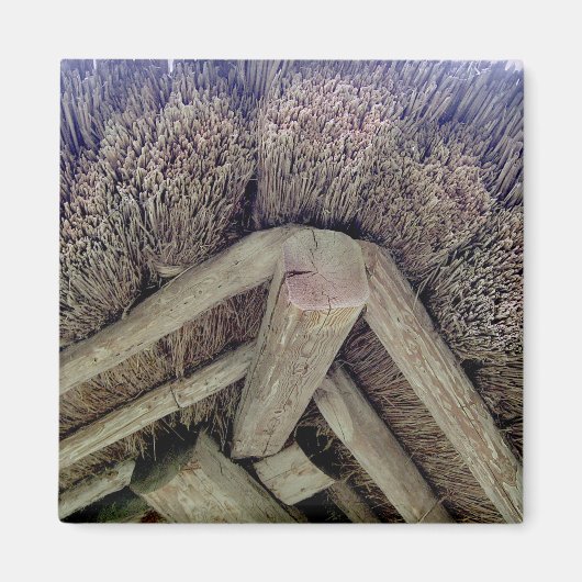 リトアニアのThatch Roof, Rumsiskes Museum - マグネット (正面)