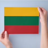 リトアニア国旗のフライヤー チラシ (手)