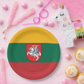 リトアニア国旗の紋章    ペーパープレート (パーティー)