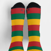 リトアニア国旗を持つアスレティッククルー靴下 ソックス (上部)