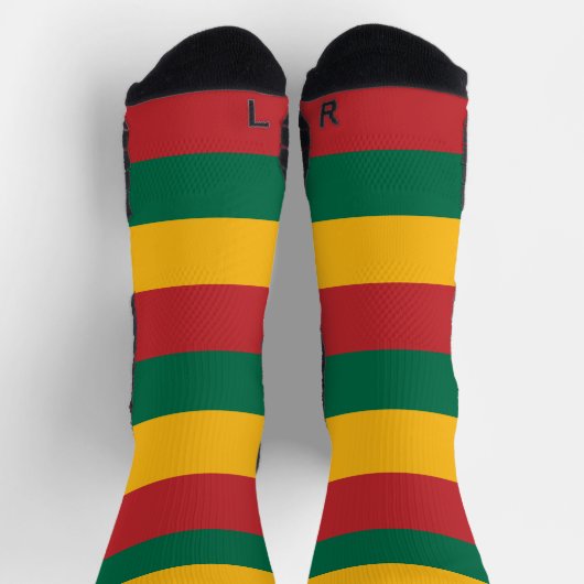 リトアニア国旗を持つアスレティッククルー靴下 ソックス (上部)