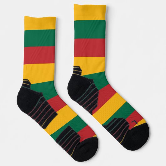 リトアニア国旗を持つアスレティッククルー靴下 ソックス (右)