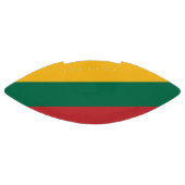 リトアニア国旗を持つ愛国的なアメリカンフットボール アメリカンフットボール (パネル)