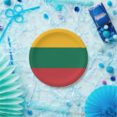 リトアニア国旗を持つ愛国的紙プレート ペーパープレート (パーティー)